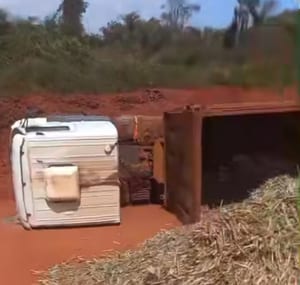 Bi-trem carregado com cana tomba em estrada rural