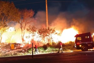 Incêndio na Mata do Furquim mobiliza Bombeiros e Defesa Civil
