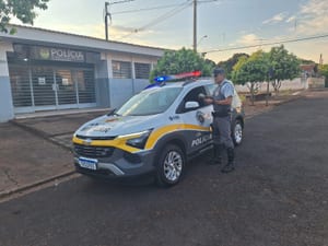 Motociclista embriagado e procurado é preso após acidente