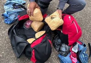 TOR encontra bolsas com 12,8 kg de skunk em ônibus e prende passageiro. Foto: Polícia Militar Rodoviária