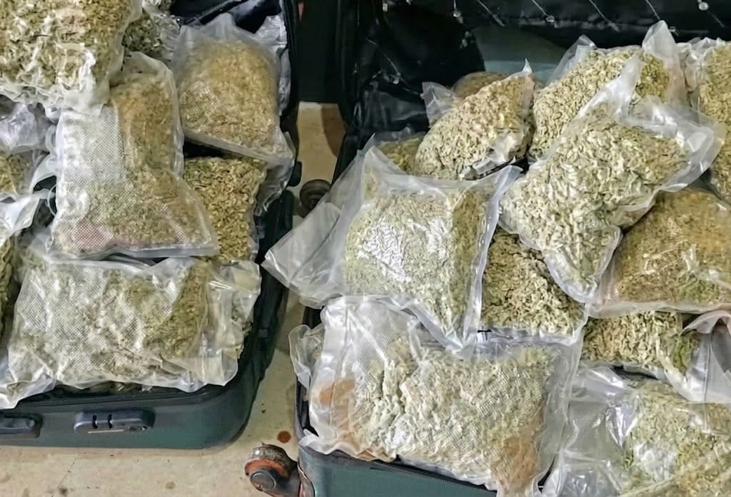 Droga avaliada em R$ 2,3 milhões é encontrada em malas de ônibus em Prudente. Foto: Polícia Militar