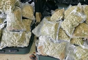 Droga avaliada em R$ 2,3 milhões é encontrada em malas de ônibus em Prudente. Foto: Polícia Militar